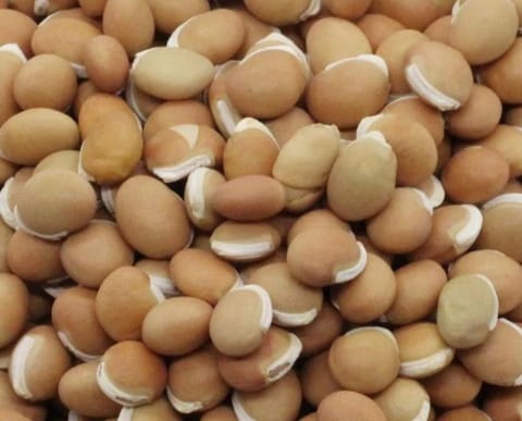 Cluster beans / ಅವರೇ ಕಾಳು